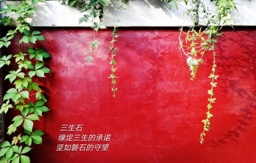 三生石.吉祥小红绳 商品图2