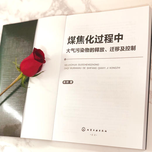 煤焦化过程中大气污染物的释放、迁移及控制 商品图3