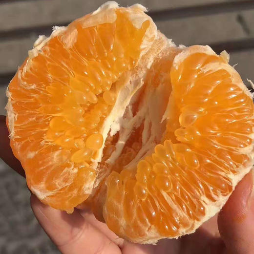 耙耙柑春见，特惠。丑橘都是它的名字，果皮又薄又软，橙黄圆润的果皮，吃起来让人惊艳不已，它是柑，吃多了不上火。 商品图7