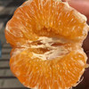 耙耙柑春见，特惠。丑橘都是它的名字，果皮又薄又软，橙黄圆润的果皮，吃起来让人惊艳不已，它是柑，吃多了不上火。 商品缩略图6