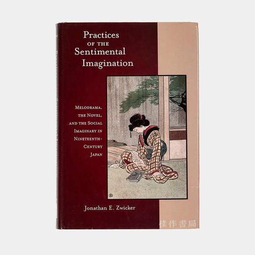 Practices of the Sentimental Imagination: Melodrama  the Novel  and the Social Imaginary in Nineteen 商品图0