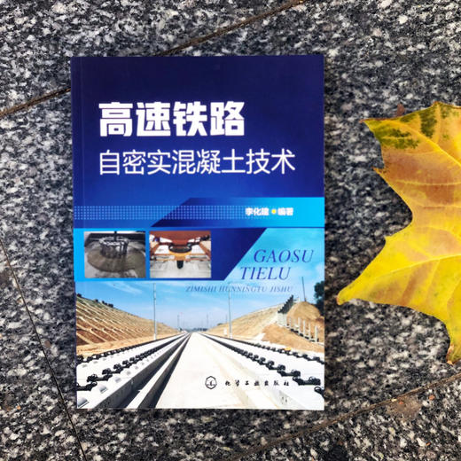 高速铁路自密实混凝土技术 商品图1