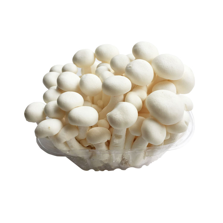 白玉菇 150g±15g/袋