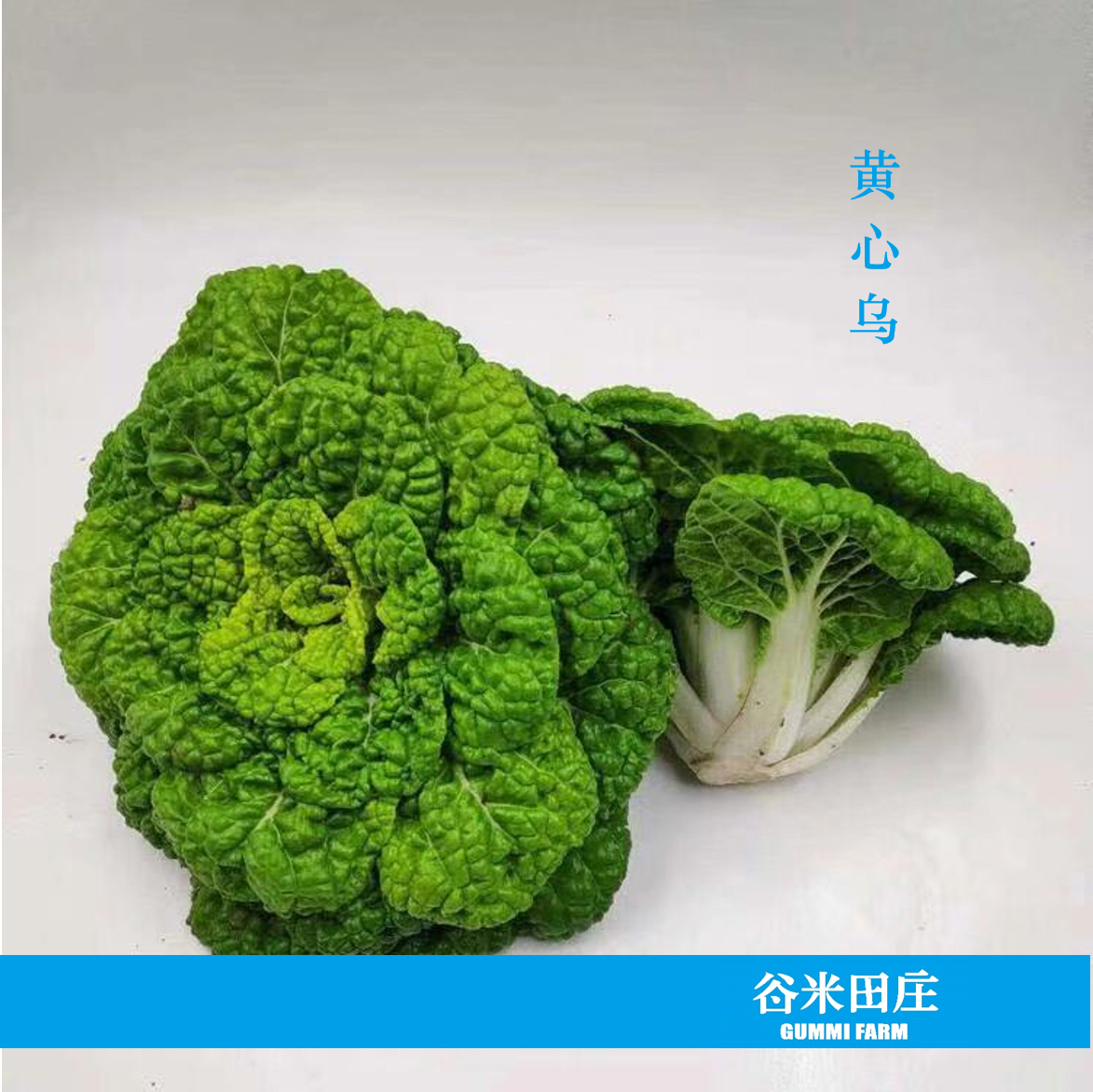 黄心乌(400g)