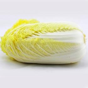 娃娃菜（1个，约500g）