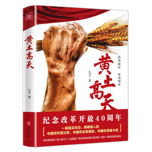 黄土高天（改革开放40周年纪念） 商品图0