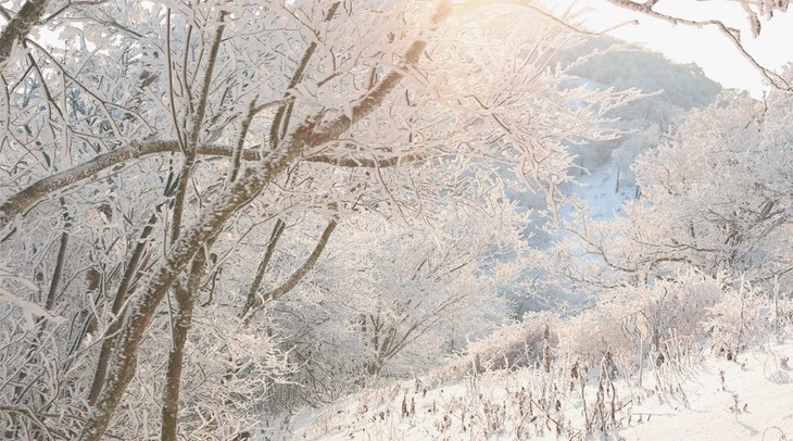 18 徒小粉 对于去年龙王山那场雪景盛宴还处于怀念中 看到了本周末要