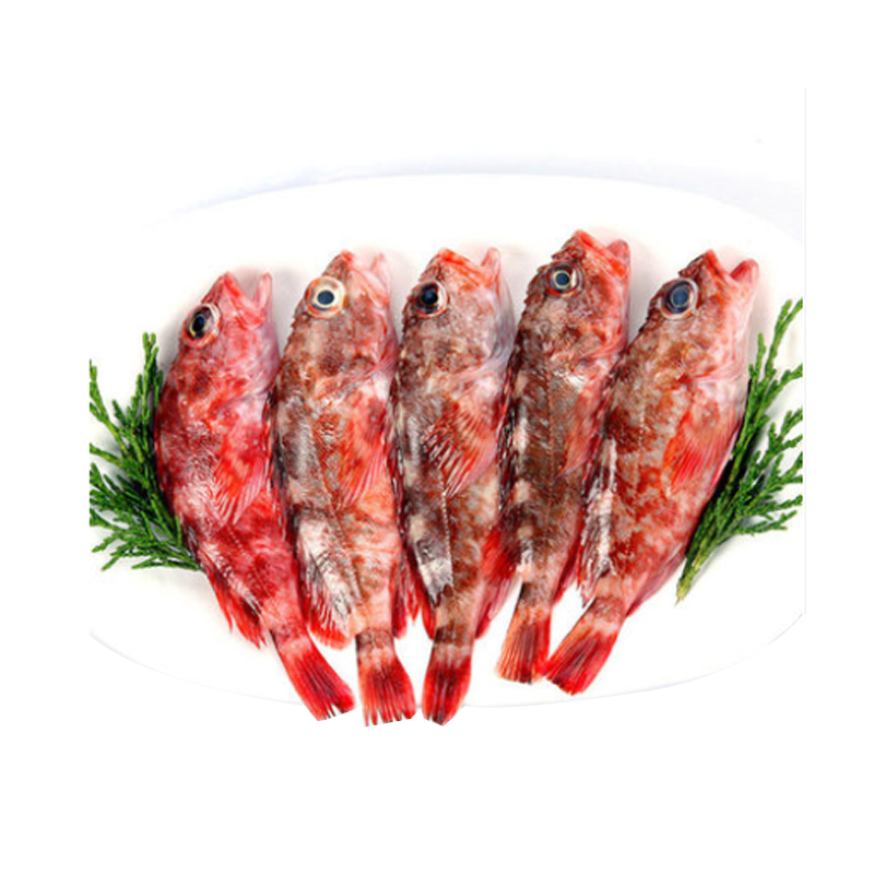 【预订】舟山野生虎头鱼500g(10-15条) 099