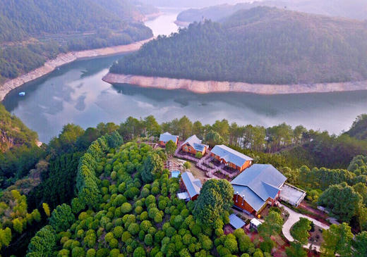 采蜜桔，品鱼头 丽水湖山品质民宿与生态美食之旅 商品图0