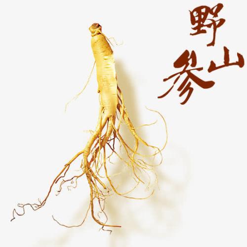 长白山野山参 商品图0