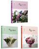 日本花艺名师的人气学堂（套装3册） 商品缩略图0
