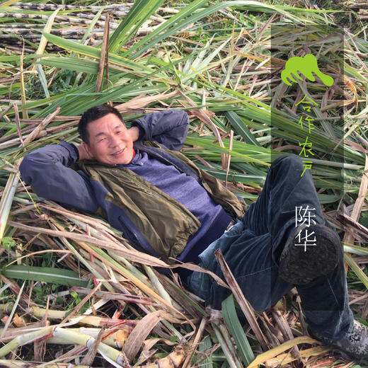 生态红糖(2袋包邮) | 合作生产* Eco- brown Sugar | Coproduction 商品图4