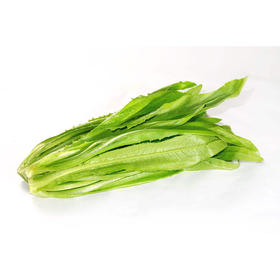 油麦菜