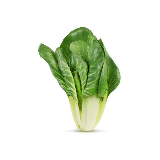 小白菜 商品图0