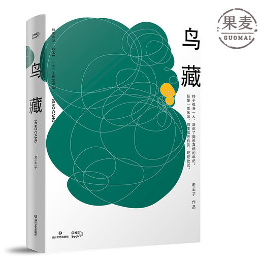 鸟藏 老王子 都市中产 诗意 精神家园 小说 果麦图书 商品图0