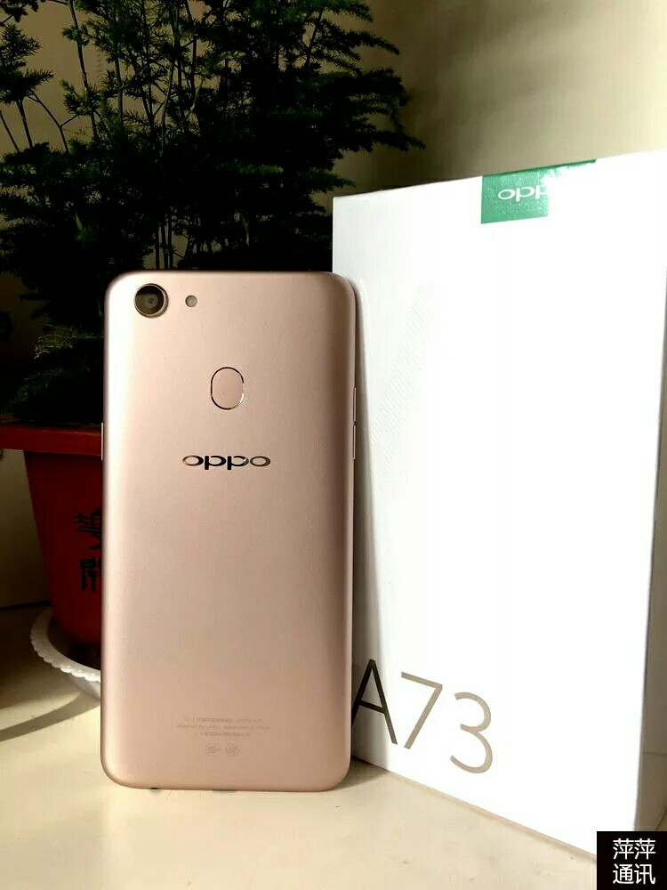 oppoa73 (高配金)