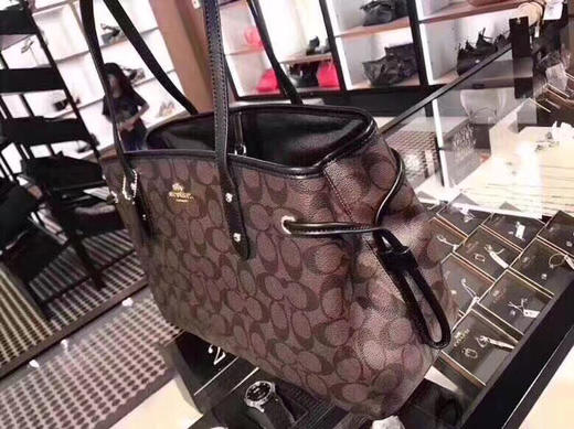 降价！coach 大号鲶鱼包老花色全 商品图4