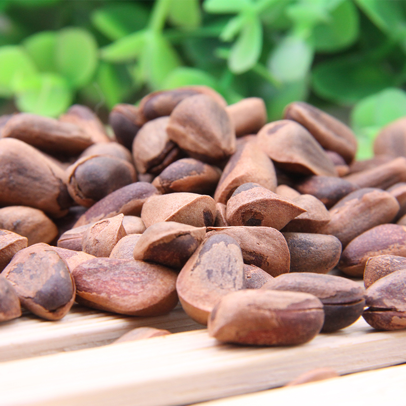 天野园·松子 开口松子 非油炸 零食
