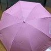新华欣天堂伞（5把） 商品缩略图0