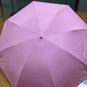 新华欣天堂伞（5把）