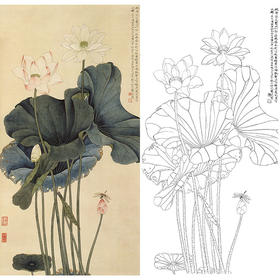 于非闇竖幅工笔花鸟白描底稿-荷花-YF29