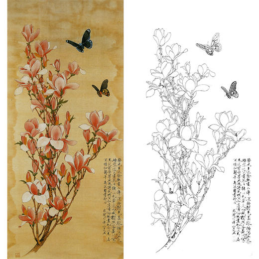 于非闇竖幅工笔花鸟白描底稿-红玉兰花《辛夷蝴蝶》-多种白描尺寸可选-YF41 商品图0