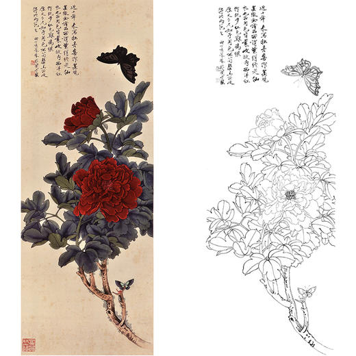 于非闇竖幅工笔花鸟白描底稿-牡丹蝴蝶-YF34 商品图0