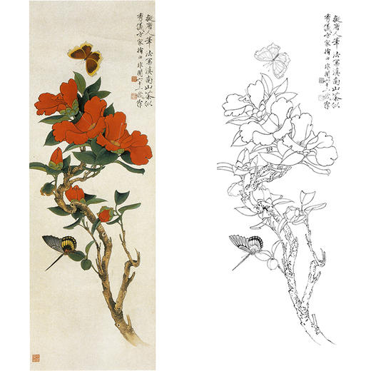 于非闇竖幅工笔花鸟白描底稿-山茶花蝴蝶-YF36 商品图0
