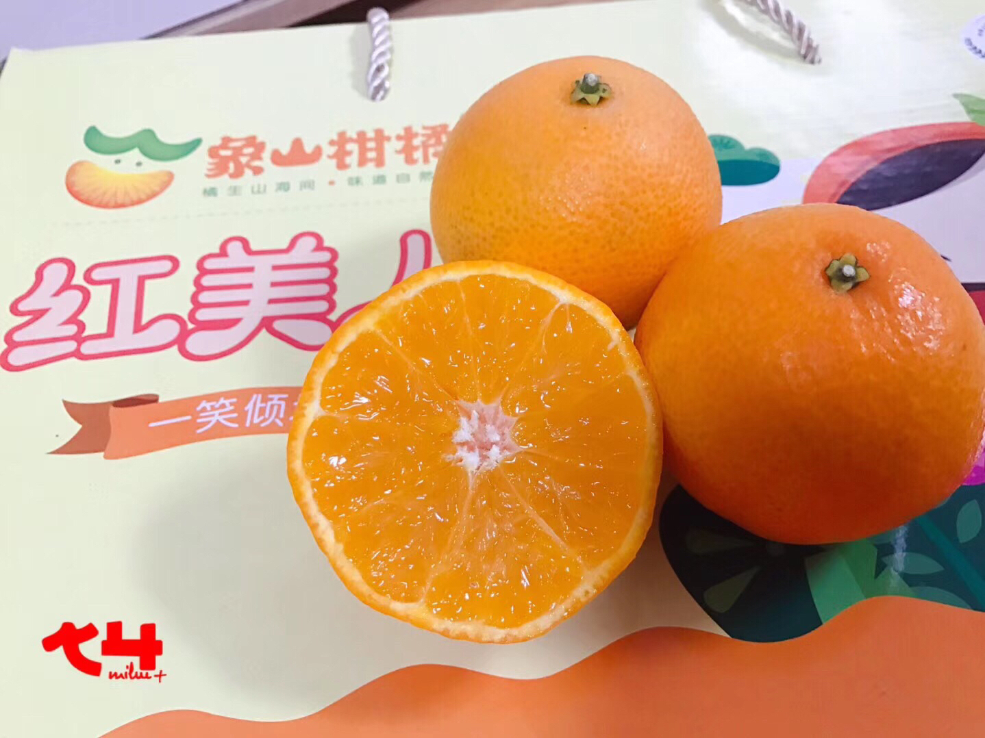 象山红美人 入口即化 细嫩无渣