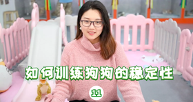 如何训练狗狗稳定性