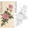 于非闇竖幅工笔花鸟白描底稿《西番莲》-多种白描尺寸可选-YF40 商品缩略图0