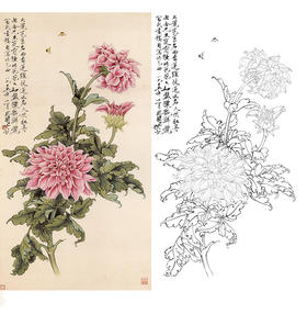 于非闇竖幅工笔花鸟白描底稿《西番莲》-多种白描尺寸可选-YF40