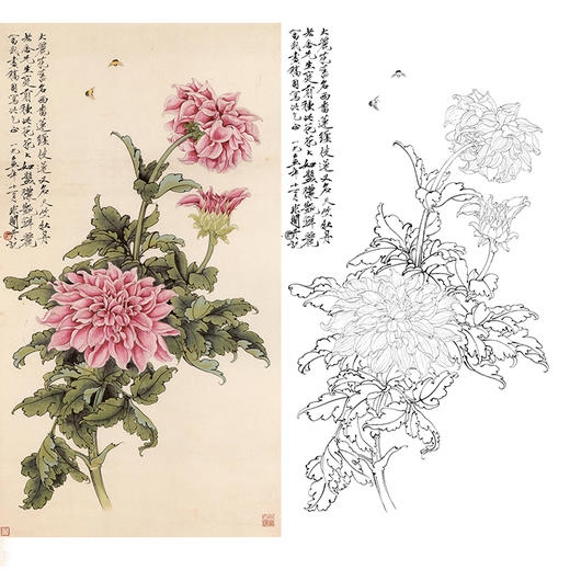 于非闇竖幅工笔花鸟白描底稿《西番莲》-多种白描尺寸可选-YF40 商品图0
