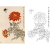 于非闇竖幅工笔花鸟白描底稿《大丽花》-多种白描尺寸可选-YF24 商品缩略图0