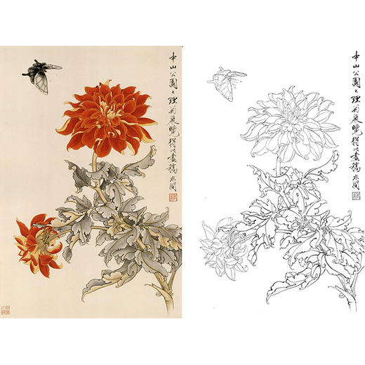 于非闇竖幅工笔花鸟白描底稿《大丽花》-多种白描尺寸可选-YF24 商品图0