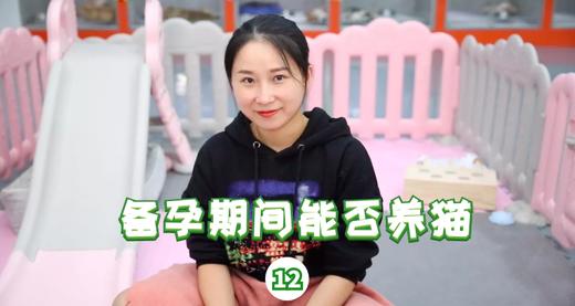 备孕期间能否养猫 商品图0
