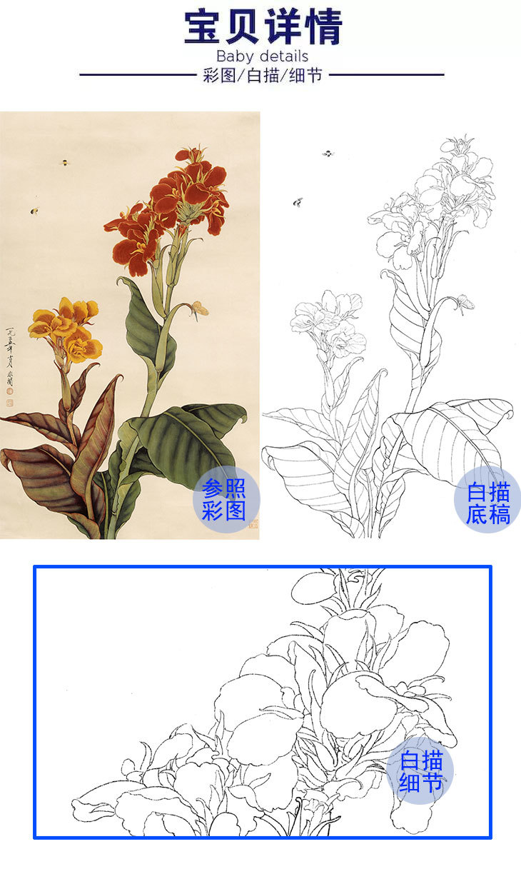 于非暗白描底稿-工笔花鸟-美人蕉-yf32