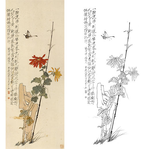 于非闇竖幅工笔花鸟白描底稿-菊花-《菊石图》-多种白描尺寸可选-YF31 商品图0