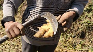 社区团测试 商品图1