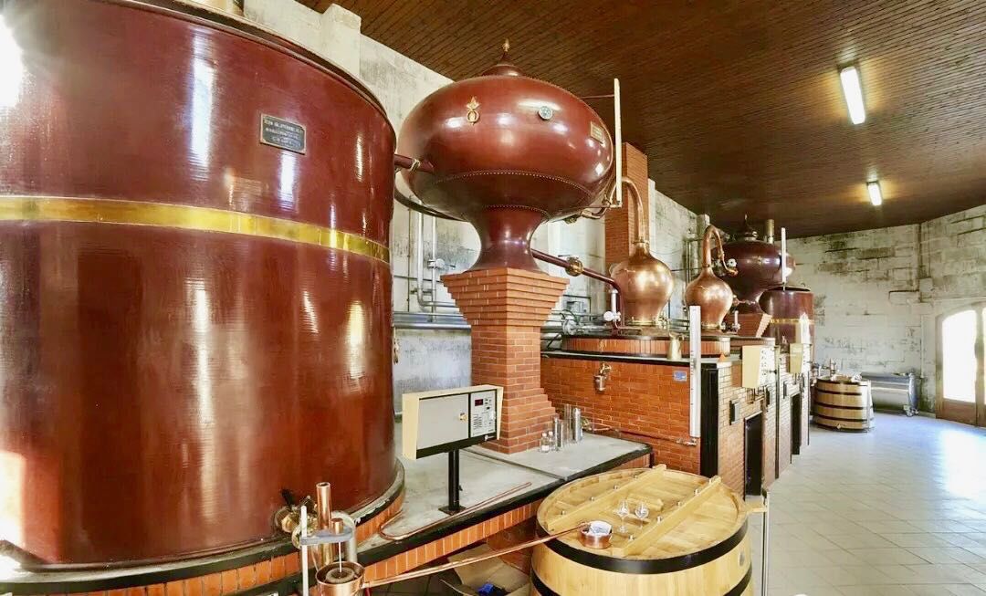 (2)蒸馏:使用夏朗德壶式蒸馏器(copper charentais pot still)蒸馏 2