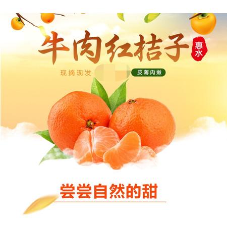 【惠水·牛肉红橘子】【5斤装/贵州省内包邮】皮薄肉厚 现摘现发原产地直达 商品图0