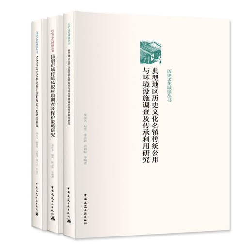 历史文化城镇丛书 商品图3