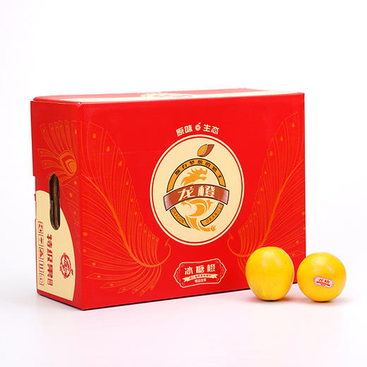 龙橙珍品 【24个装】 哀牢山脉高原甜橙 商品图1