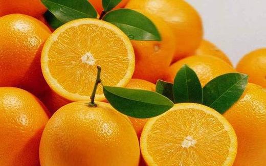 爆款直销 赣南脐橙 商品图1