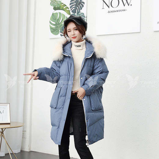 她之蝶2018冬季韩版时尚女士连帽羽绒服1840025 商品图0
