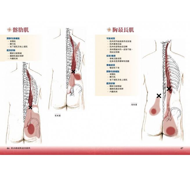 正版现货 《肌肉激痛点速查图典:人体解剖全书附册》枫叶社文化