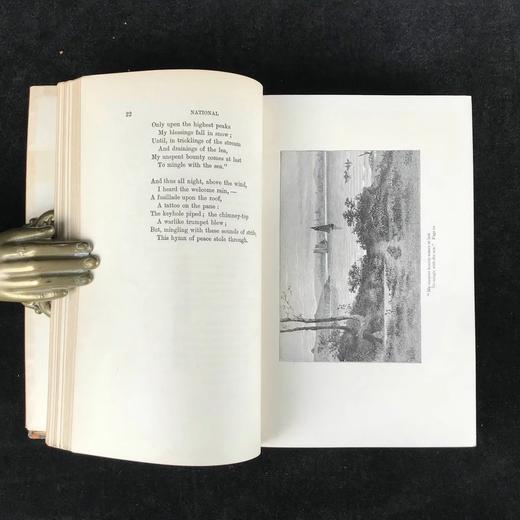 1899年 布勒特·哈特诗集 12幅精美版画插图 全真皮精装大32开 商品图12