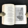 1899年 布勒特·哈特诗集 12幅精美版画插图 全真皮精装大32开 商品缩略图14