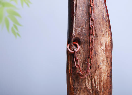 “英明神武”紫檀手工雕刻鹦鹉摆件 155 商品图8