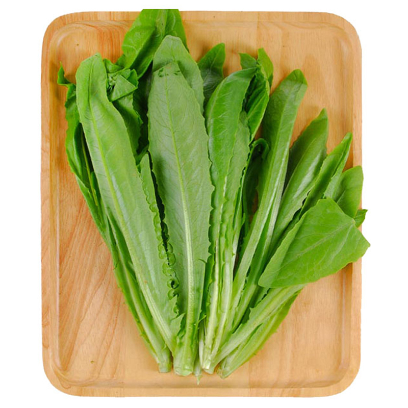 淘不出手 无公害油麦菜 约350g/份